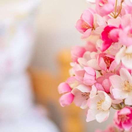 Guesthouse Rose Szarajevó Kültér fotó