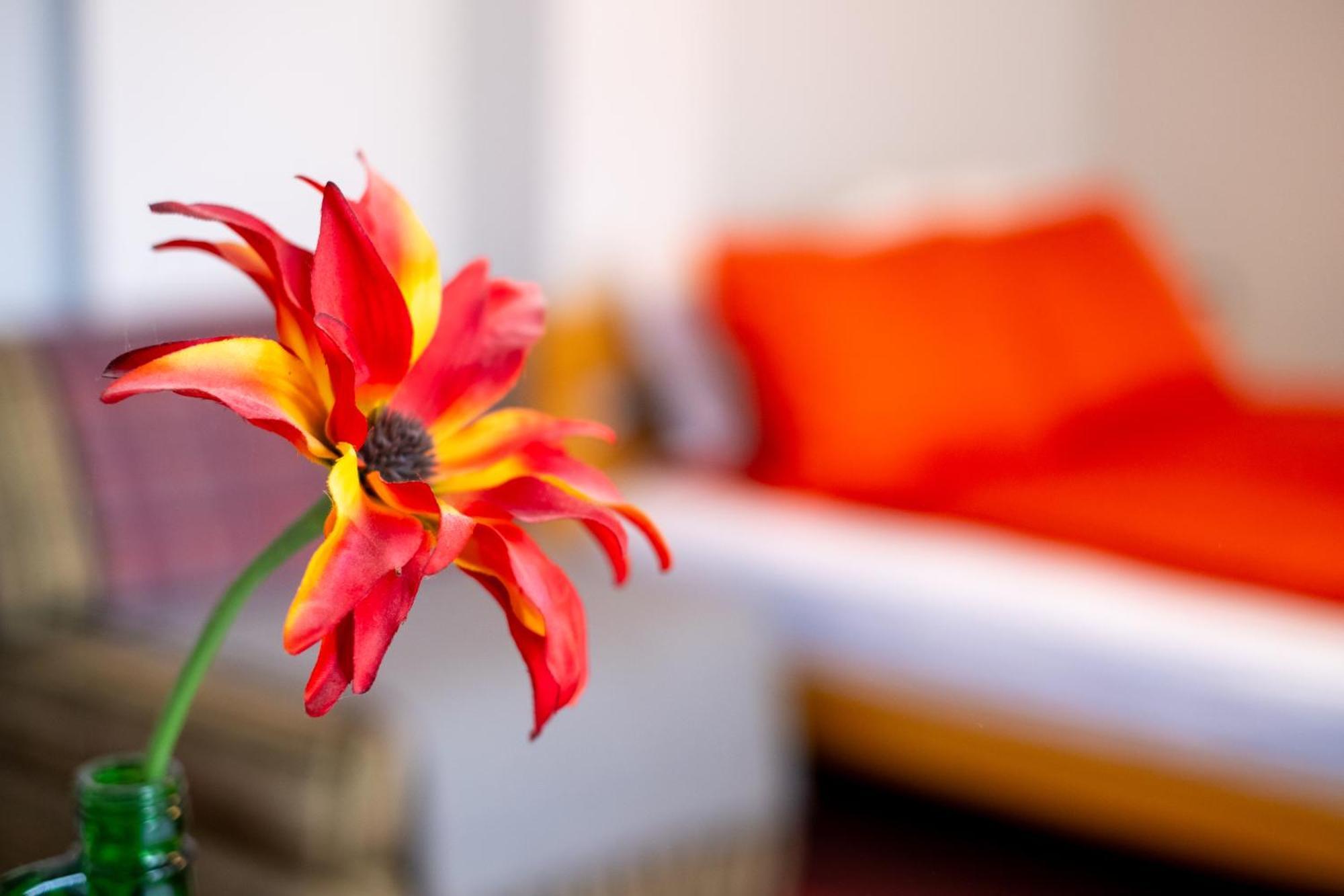 Guesthouse Rose Szarajevó Kültér fotó
